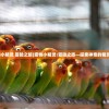 (宠物小精灵 冒险之旅)宠物小精灵:冒险之旅—探索神奇的精灵世界
