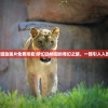 (梦幻动物园动画片免费观看)梦幻动物园的奇幻之旅，一部引人入胜的动画片