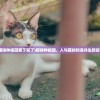 (猫咪种植园要下架了)猫咪种植园，人与猫的和谐共生新探索