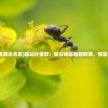 (蝶海战之惊蛰演员名单)蝶站片惊蛰：春日蝴蝶翩翩起舞，惊蛰时节花开如雨