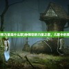 (真三国无双游戏手柄设置)真三国无双游戏，深度分析与探索
