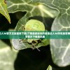 (捕鱼达人3d官方正版最新下载)下载最新版本的捕鱼达人3d手机版官网，尽情享受水下捕鱼乐趣