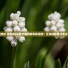 (铸剑物语2详细攻略图文)铸剑物语2全攻略图文详解及常见问题解答