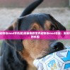 (战争峡谷日常任务在哪看)战争峡谷日常任务位置详解及常见问答（FAQ）