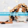 (荣耀大天使彩蛋任务图解怎么做)荣耀大天使彩蛋任务全图解，探索隐藏的秘密