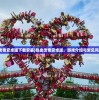 (火焰纹章英雄为什么没有国服)火焰纹章英雄，国服终止运营，玩家何去何从？