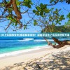 (水上乐园游泳池)盛夏解暑首选！探秘夏日水上乐园泳池配方表