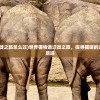 (世界猫物语迁徙之旅怎么过)世界猫物语迁徙之旅，探寻猫咪的迁徙奥秘与全球足迹