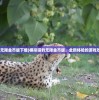 (诛神乾坤传奇手游官网下载)诛神乾坤传奇，探索神秘世界的史诗之旅