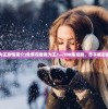 (我为王剧情简介)免费观看我为王1—100集短剧，尽享精彩剧情！