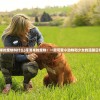 (库洛米的宠物叫什么)库洛米的宠物：一窥可爱小动物和少女的温馨日常生活