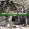 (灾变前夜警察局密码怎么输入)灾变前夜警察局密码揭秘与解析