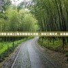 (歌手手游还能玩么现在)关于歌手手游是否还能玩？深度解析现状和未来趋势