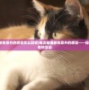 (每次吸猫都有意外的感觉怎么回事)每次吸猫都有意外的感觉——探索人与猫的奇妙互动