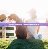 (荣耀霸业传奇手游官网)荣耀霸业传奇手游，探索战略与冒险的王者之路