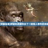 (灵猫是谁)神秘的灵猫传出了一场惊人事件的消息