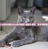 一码一码中奖免费公开资料|探索未来无限可能_电影款.7.540