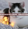 (皇后成长计划2弘历攻略详细)皇后成长计划2攻略，如何成为弘历皇后？