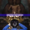 如何选择我的门派邀月明月司音？