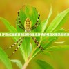 (传奇1.70怀旧手机版哪个正宗)探讨传奇1.76怀旧手机版哪个正宗才是玩家最佳选择？