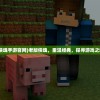 (侠魂手游官网)老版侠魂，重温经典，探寻游戏之魂