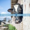 (御龙在天手游水战国战)御龙在天手游，水战之魅力与策略解析