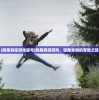 (隐藏真探游戏版号)隐藏真探游戏，探索未知的冒险之旅