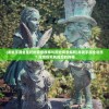 (龙武手游全是托的背景故事与历史背景解析)龙武手游全是托？深度探究其背后的真相