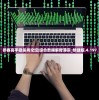 参赛高手稳杀肖论坛|综合数据解释落实_快捷版.4.197