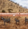 (石器时代单机gm)探索进化之旅：石器时代6.0单机版带你重温远古生存之路