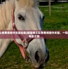 (王者荣耀段位等级顺序2025)王者荣耀段位等级顺序详解，从入门到巅峰之路