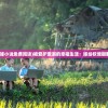 (被宠爱的代嫁小说免费阅读)被爱护宠溺的幸福生活：嫁给权倾朝野的督主大人