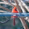 (飞鸟千野渡全文免费阅读笔趣阁txt)飞鸟千野渡，一场自然与人生的免费阅读盛宴