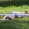 (火柴人战斗模拟器二战无限金币版)火柴人战斗模拟器二战，重温战火纷飞的岁月