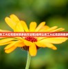 (如何让员工大红花获得更多的方法呢)如何让员工大红花获得更多的方法？