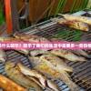 (冒险王之精灵物语手机版下载)冒险王之精灵物语，奇幻旅程的深入探索