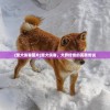 (筑梦颂史低多少钱)筑梦颂史低，探寻背后的价值与意义