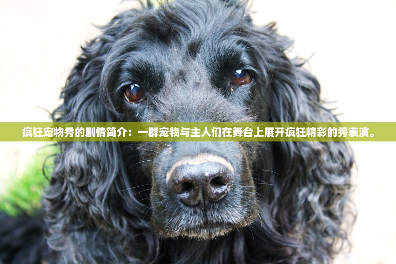 (虚树神骸百度百科)虚树迷宫道献全文免费阅读无弹窗：探寻神秘乐园的秘密通道