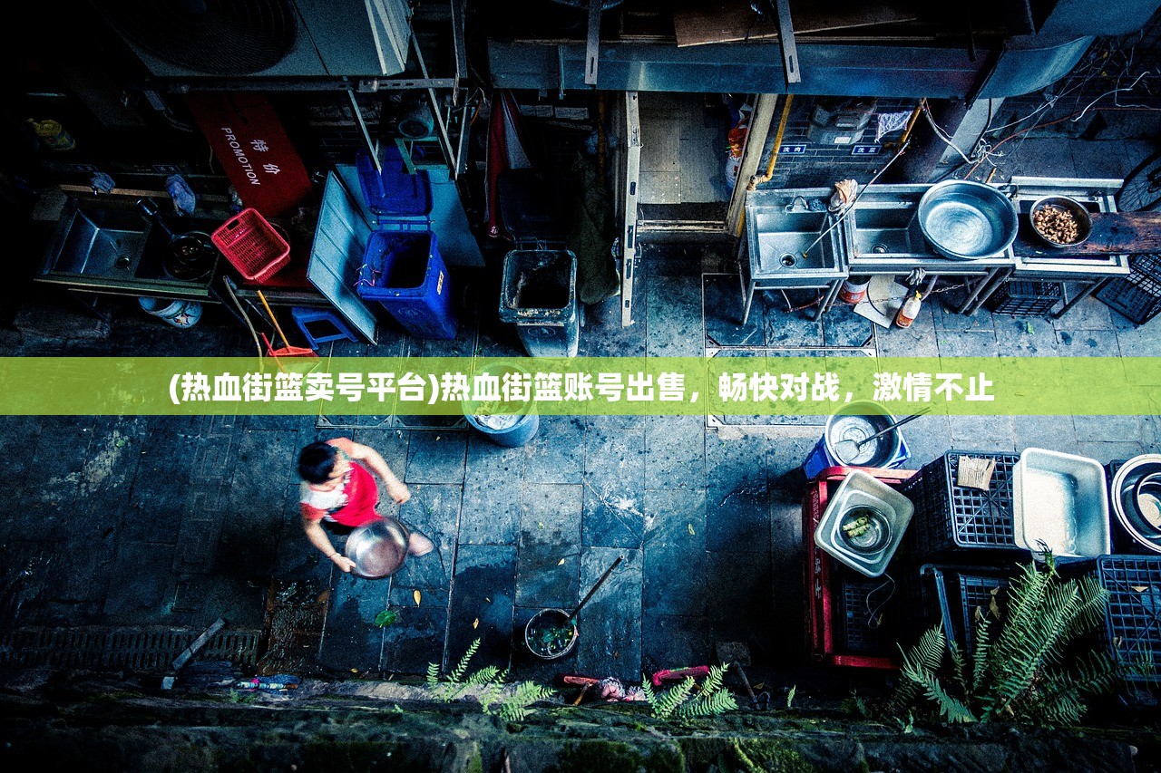 (热血街篮卖号平台)热血街篮账号出售，畅快对战，激情不止