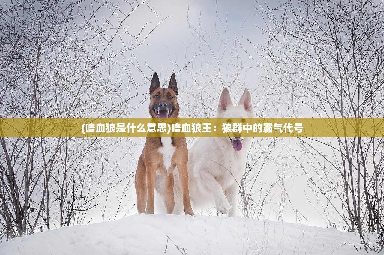 (嗜血狼是什么意思)嗜血狼王：狼群中的霸气代号