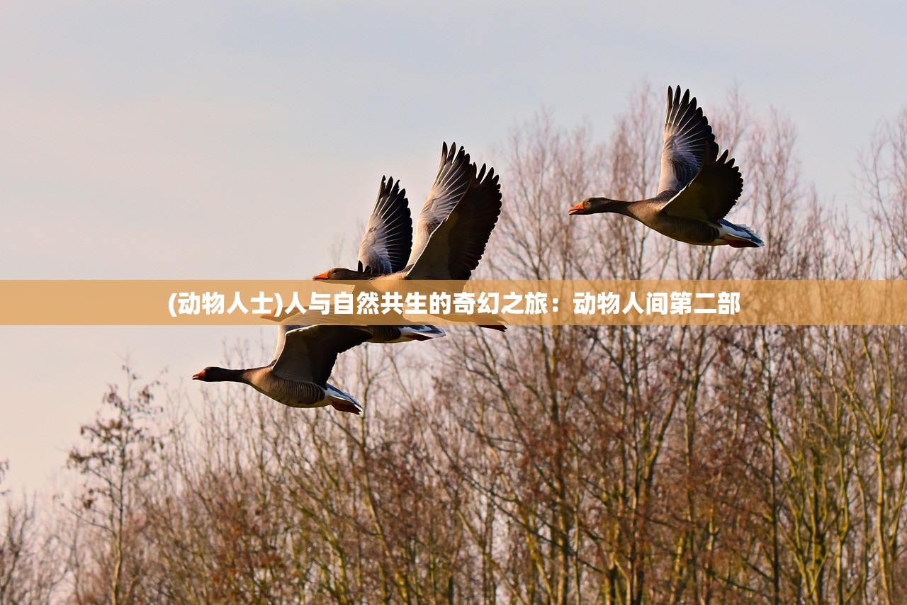 (动物人士)人与自然共生的奇幻之旅：动物人间第二部