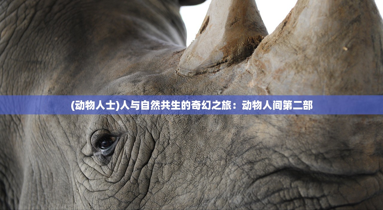 (动物人士)人与自然共生的奇幻之旅：动物人间第二部