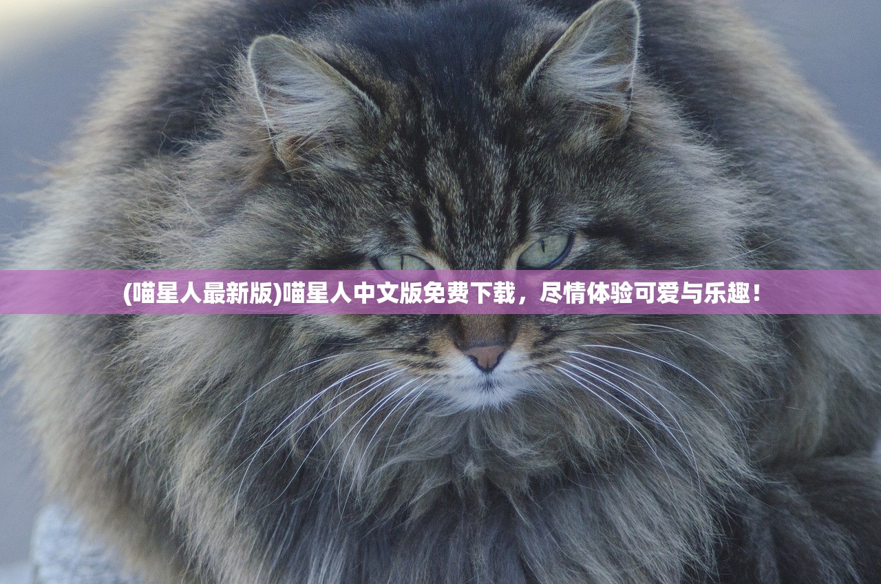 (喵星人最新版)喵星人中文版免费下载，尽情体验可爱与乐趣！