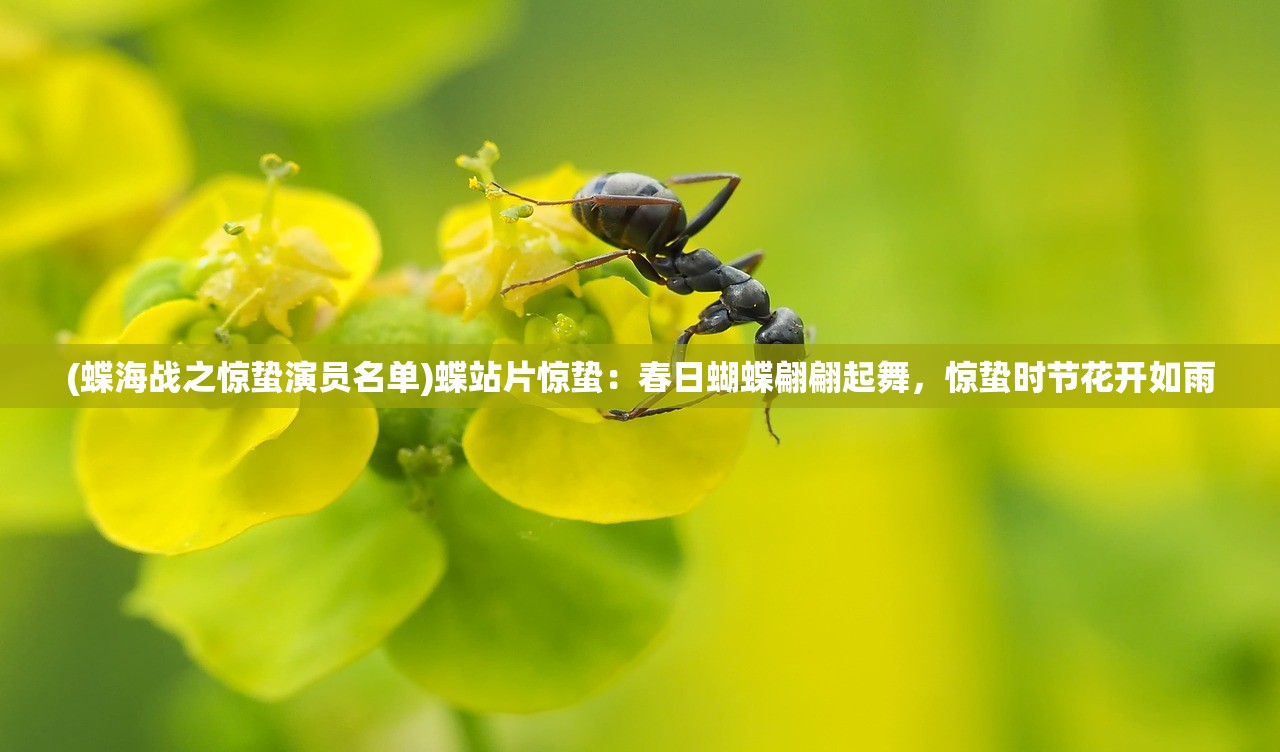 (蝶海战之惊蛰演员名单)蝶站片惊蛰：春日蝴蝶翩翩起舞，惊蛰时节花开如雨