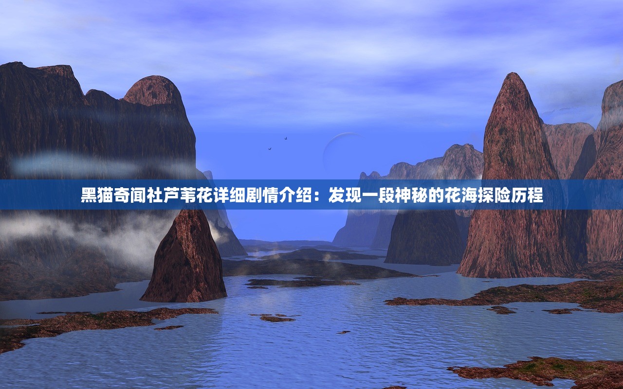黑猫奇闻社芦苇花详细剧情介绍：发现一段神秘的花海探险历程