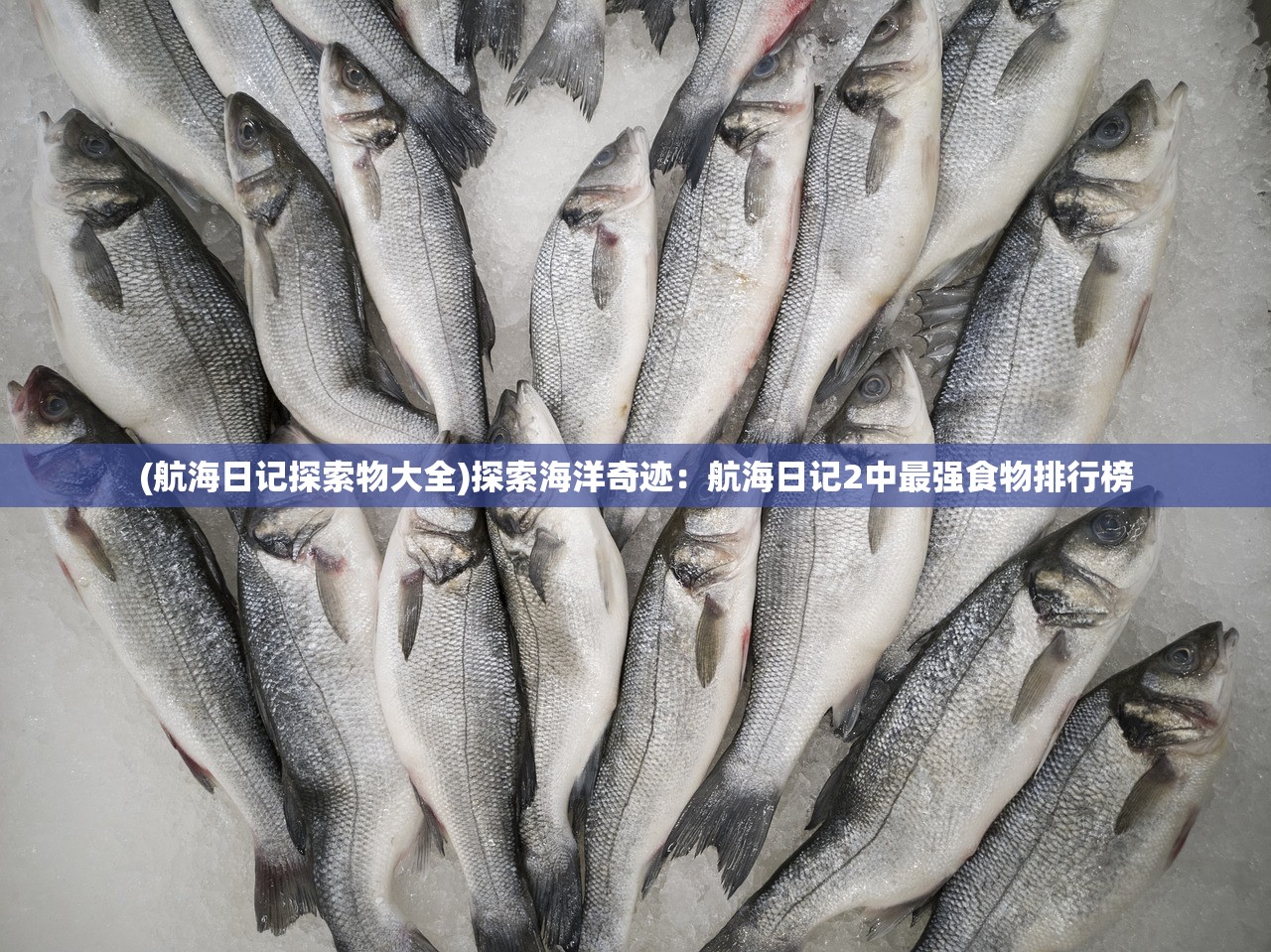 (航海日记探索物大全)探索海洋奇迹：航海日记2中最强食物排行榜