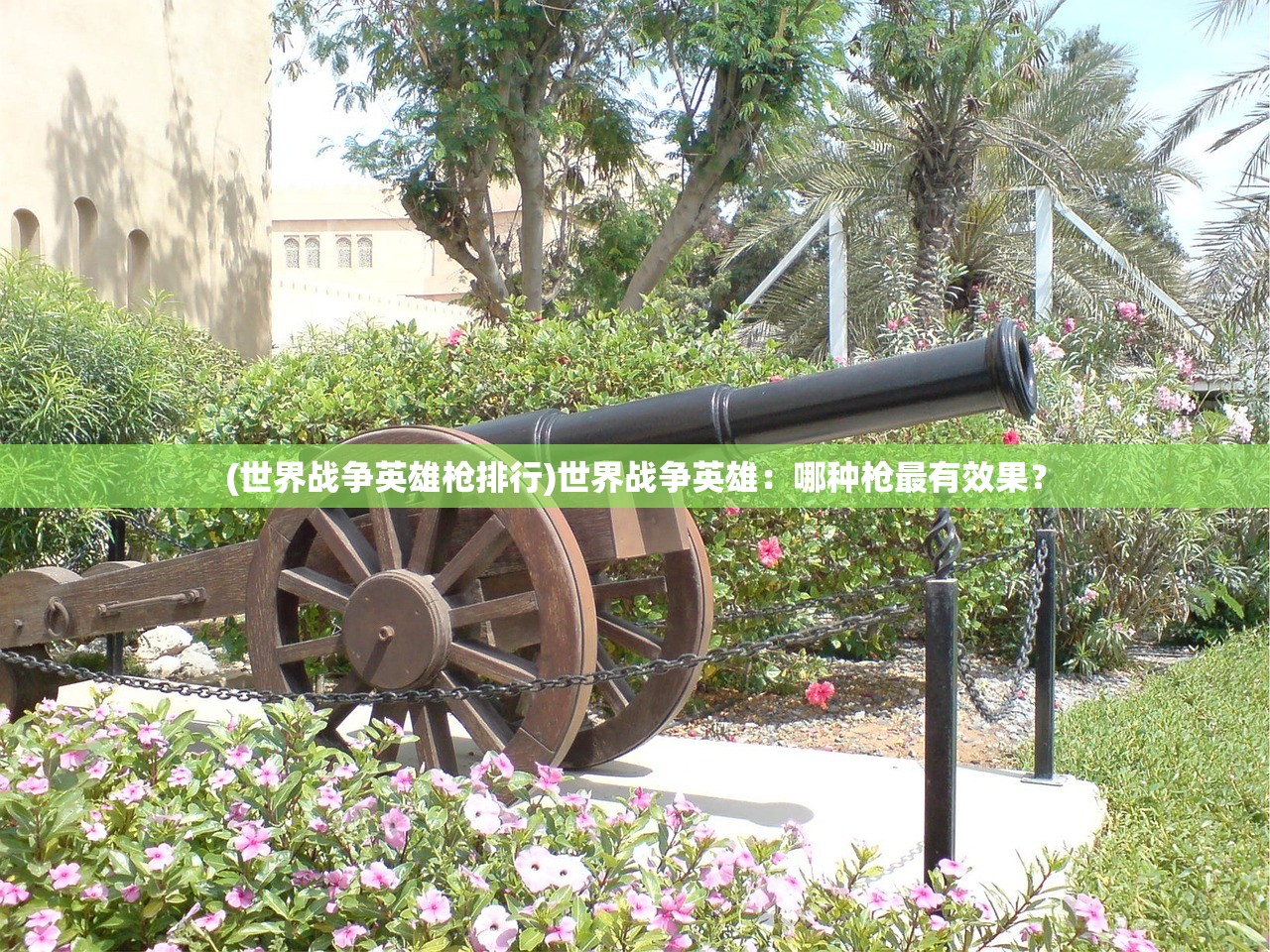 (世界战争英雄枪排行)世界战争英雄：哪种枪最有效果？