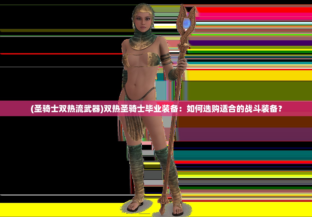 (圣骑士双热流武器)双热圣骑士毕业装备：如何选购适合的战斗装备？