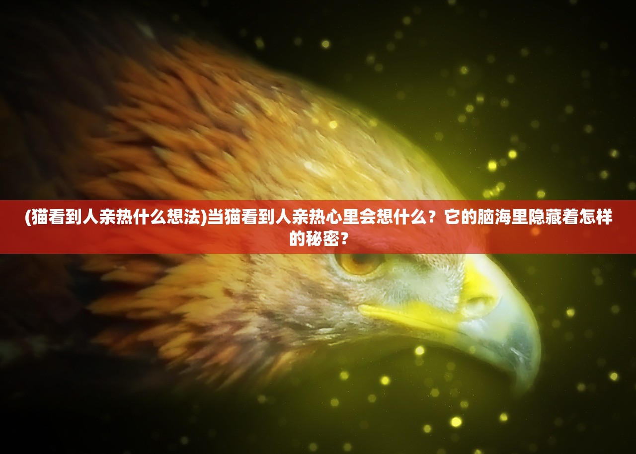(猫看到人亲热什么想法)当猫看到人亲热心里会想什么？它的脑海里隐藏着怎样的秘密？
