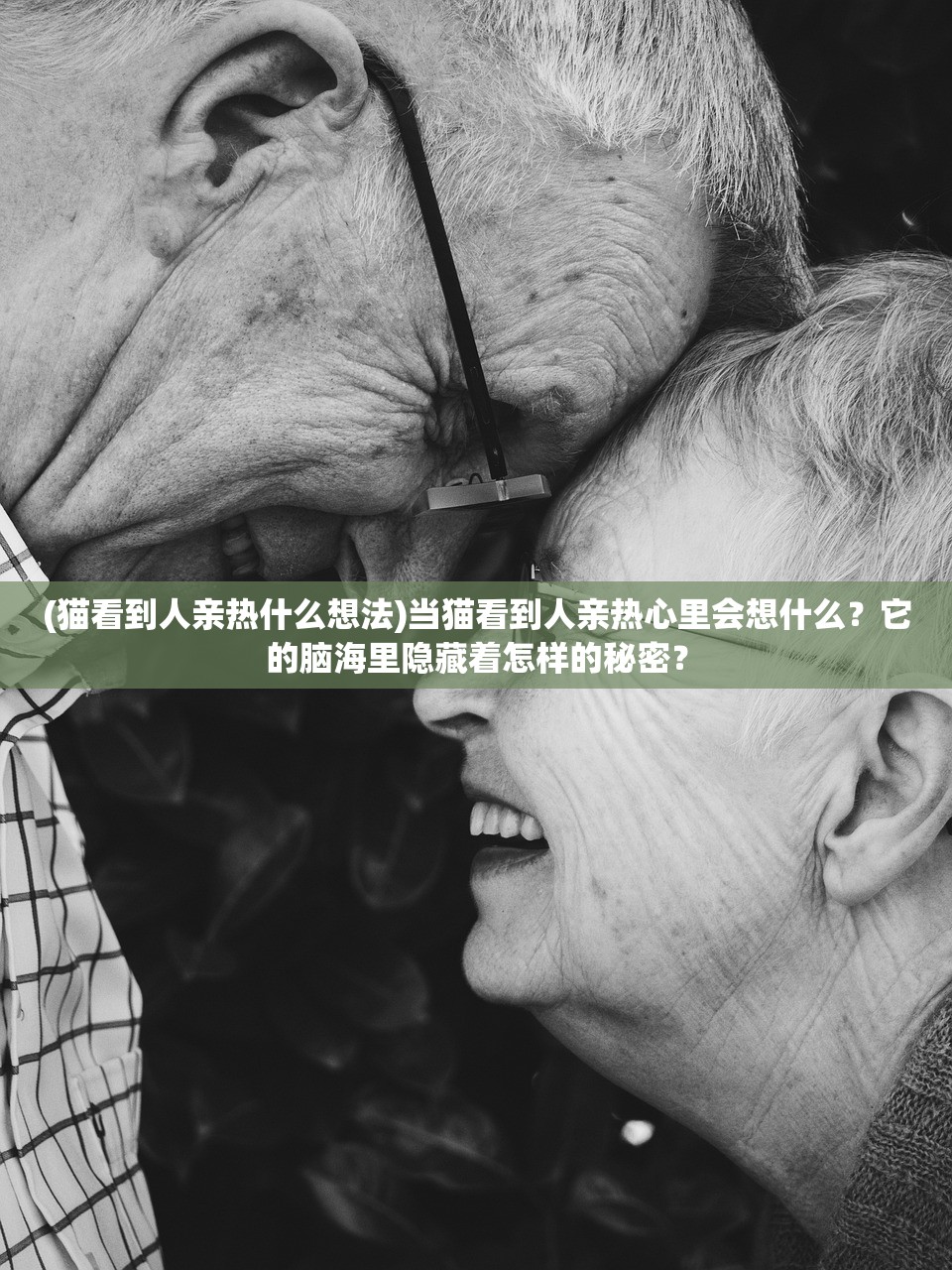 (猫看到人亲热什么想法)当猫看到人亲热心里会想什么？它的脑海里隐藏着怎样的秘密？